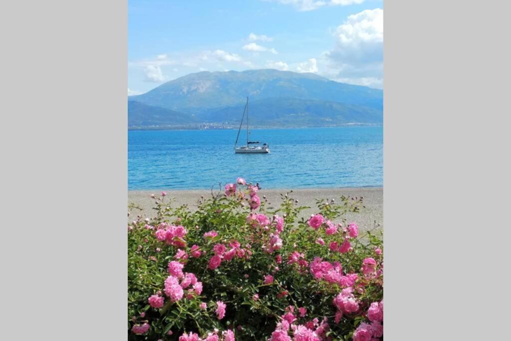 Naupactus Unique Harbor Apartment In A Stone House! Nafpaktos Exterior foto